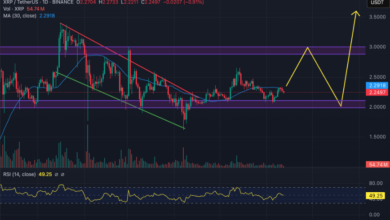 Why XRP Price USD Is Reaching New Heights
