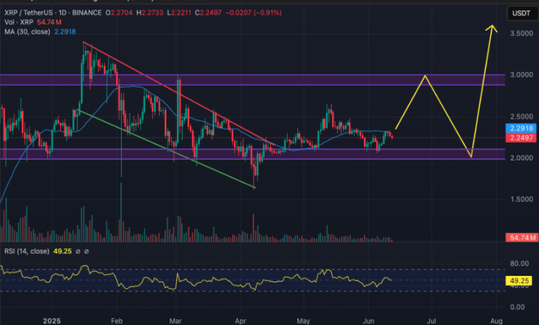 Why XRP Price USD Is Reaching New Heights