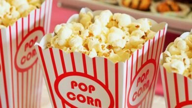 hindi movies streaming app