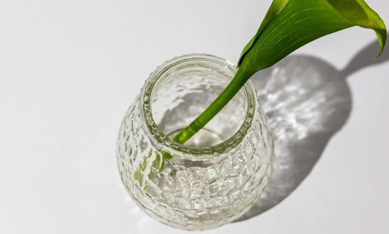 simple healthy living tips